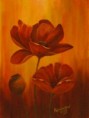 Red Poppies (2009)